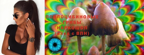 твердый Абаза