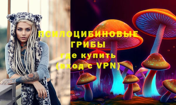 дурь Кулебаки