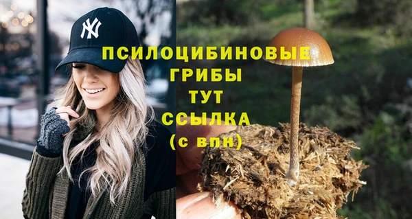 герыч Абинск