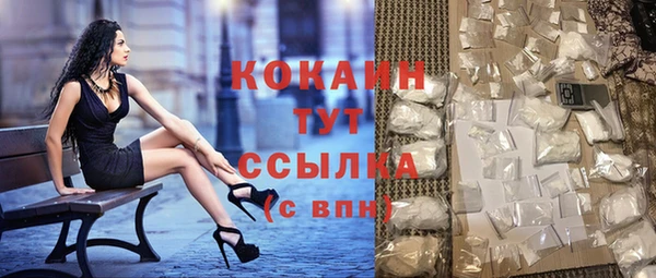 твердый Абаза