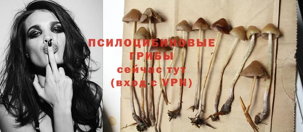прущий лед Абдулино