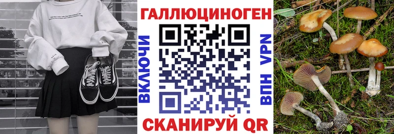 как найти закладки  blacksprut ссылка  Галлюциногенные грибы Cubensis  Алатырь 